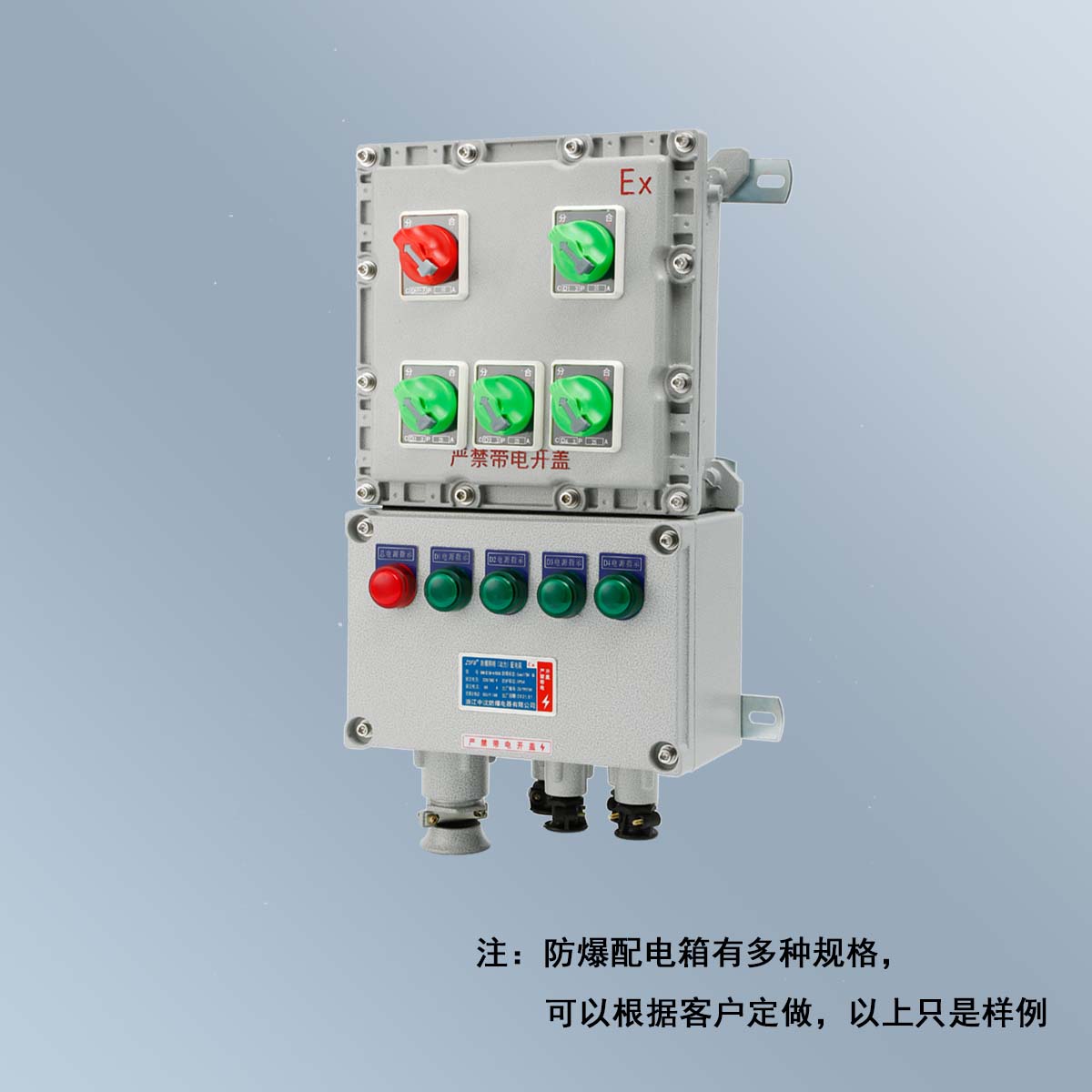 BXM(D)58 系列防爆照明(動力)配電箱 (ⅡB、ⅡC、DIP)